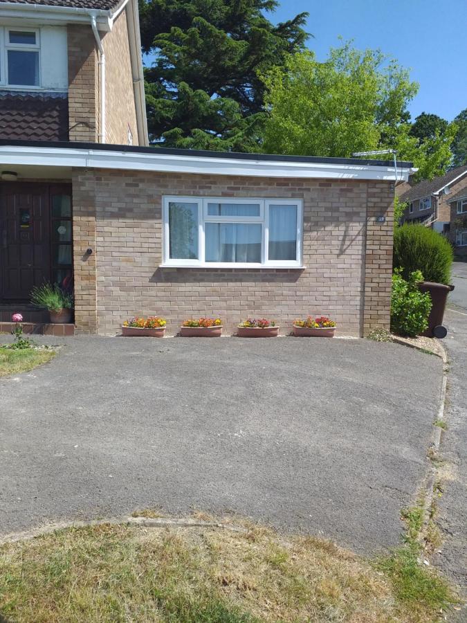 Cheltenham Studio Apartment Zewnętrze zdjęcie