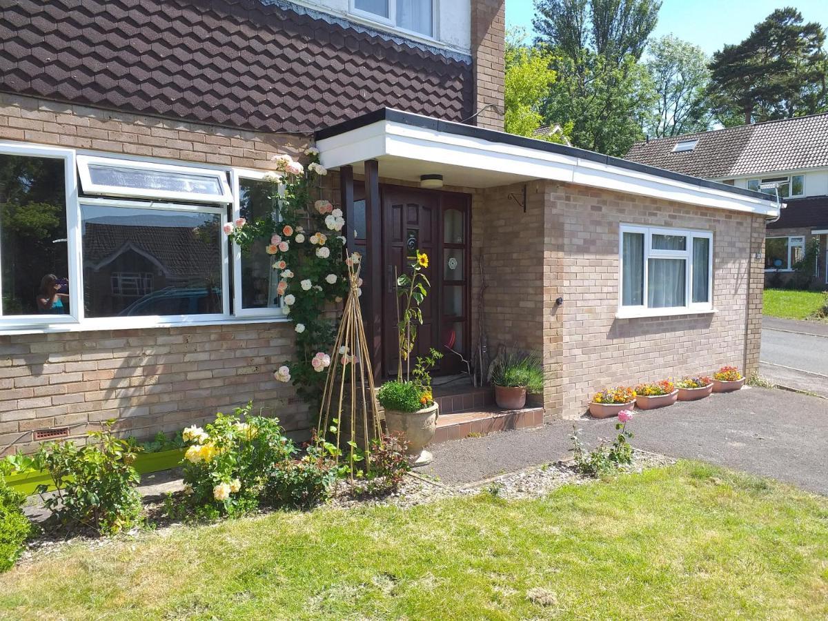 Cheltenham Studio Apartment Zewnętrze zdjęcie