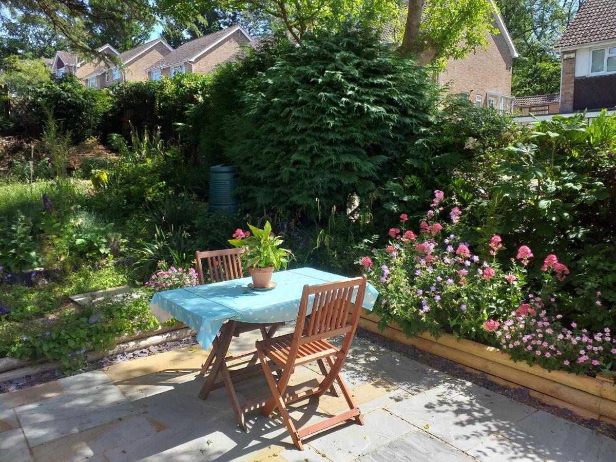 Cheltenham Studio Apartment Zewnętrze zdjęcie